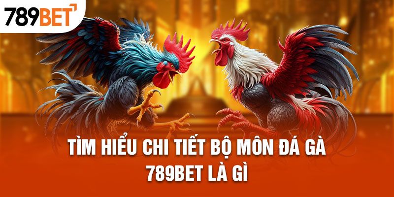 Giới thiệu sơ lược về sảnh đá gà 798BET