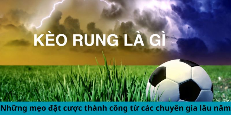 Những mẹo đặt cược thành công từ các chuyên gia lâu năm