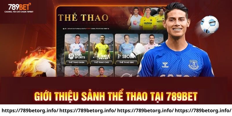 Sảnh game hợp tác cùng các đối tác uy tín quốc tế